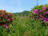 img0023.jpg