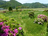 img0024.jpg
