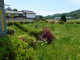 img0025.jpg