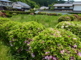 img0026.jpg