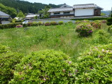 img0027.jpg