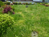 img0028.jpg