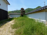 img0029.jpg
