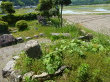 img0031.jpg