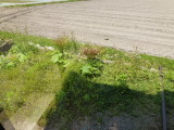 img0032.jpg