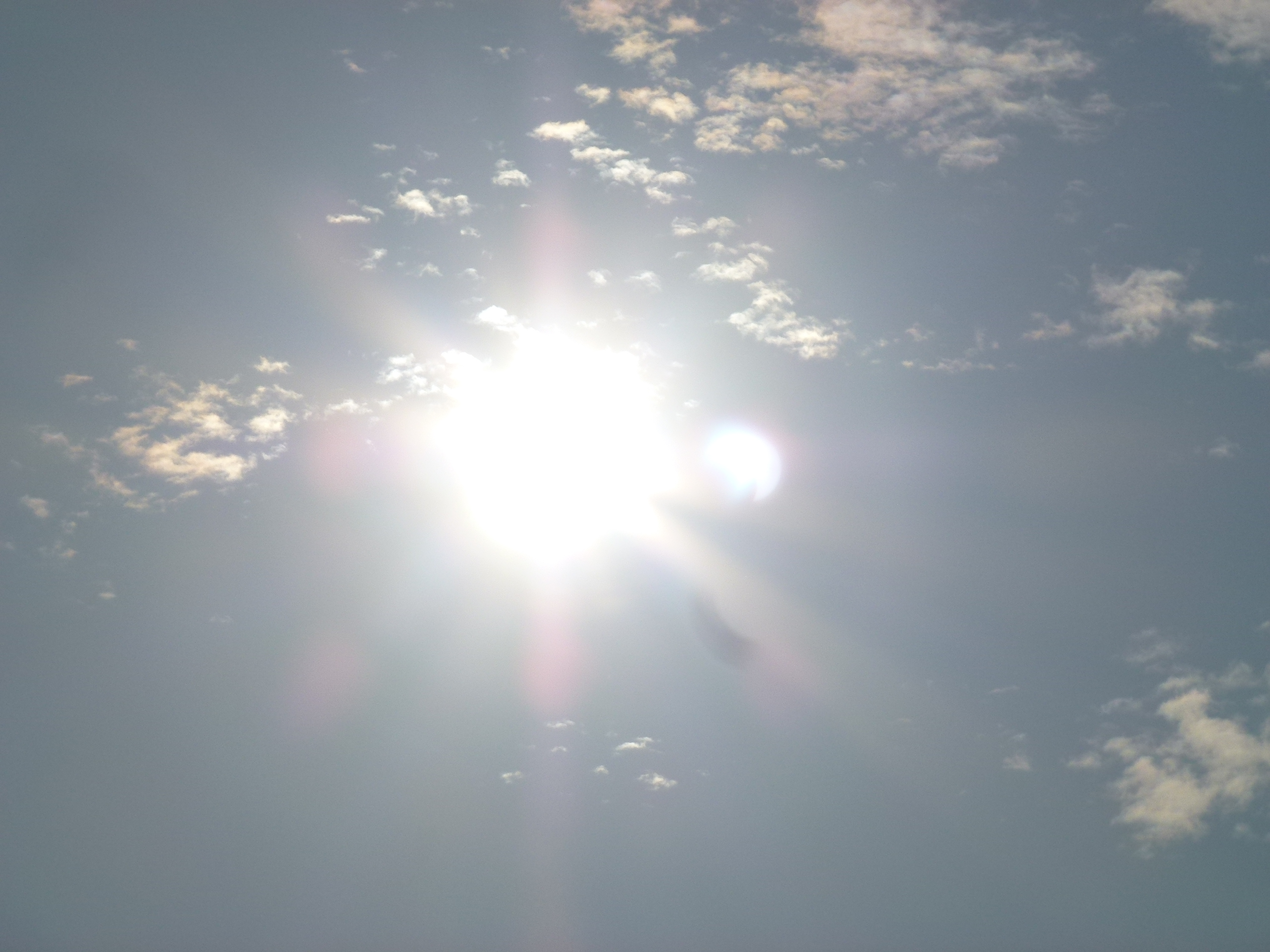 P1050130.JPG