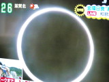 img0009.jpg