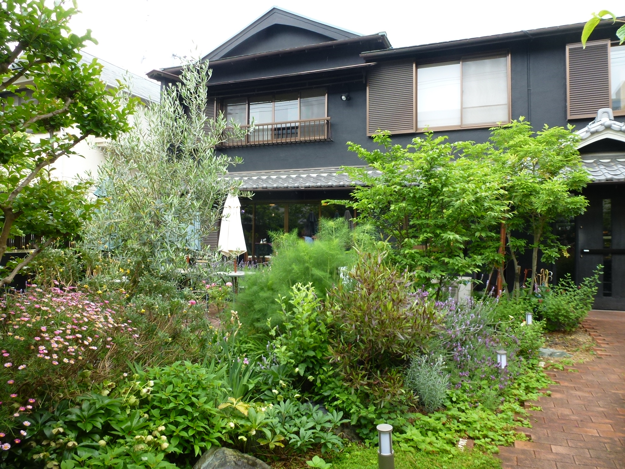 P1050157.JPG