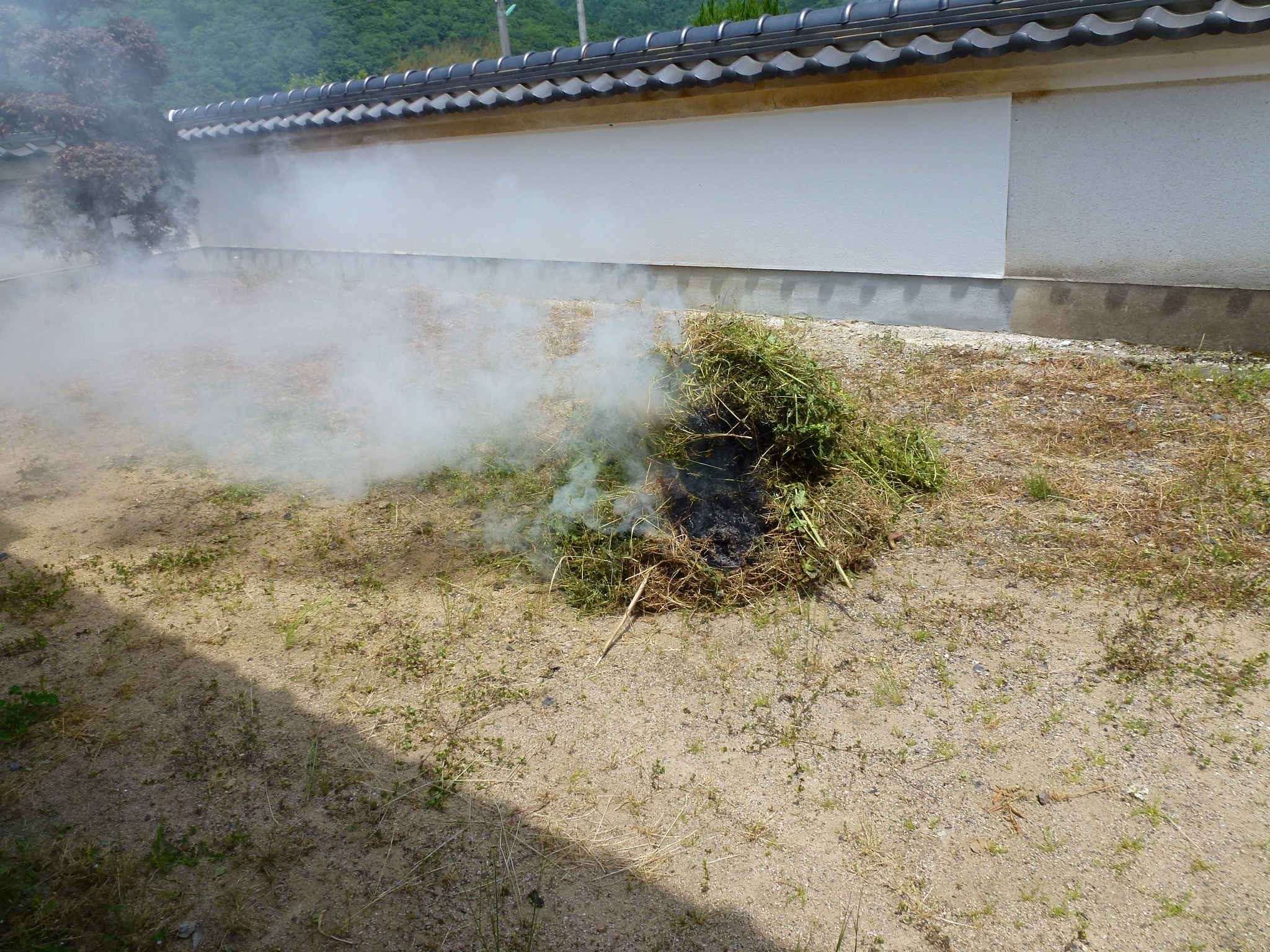 P1050160.JPG