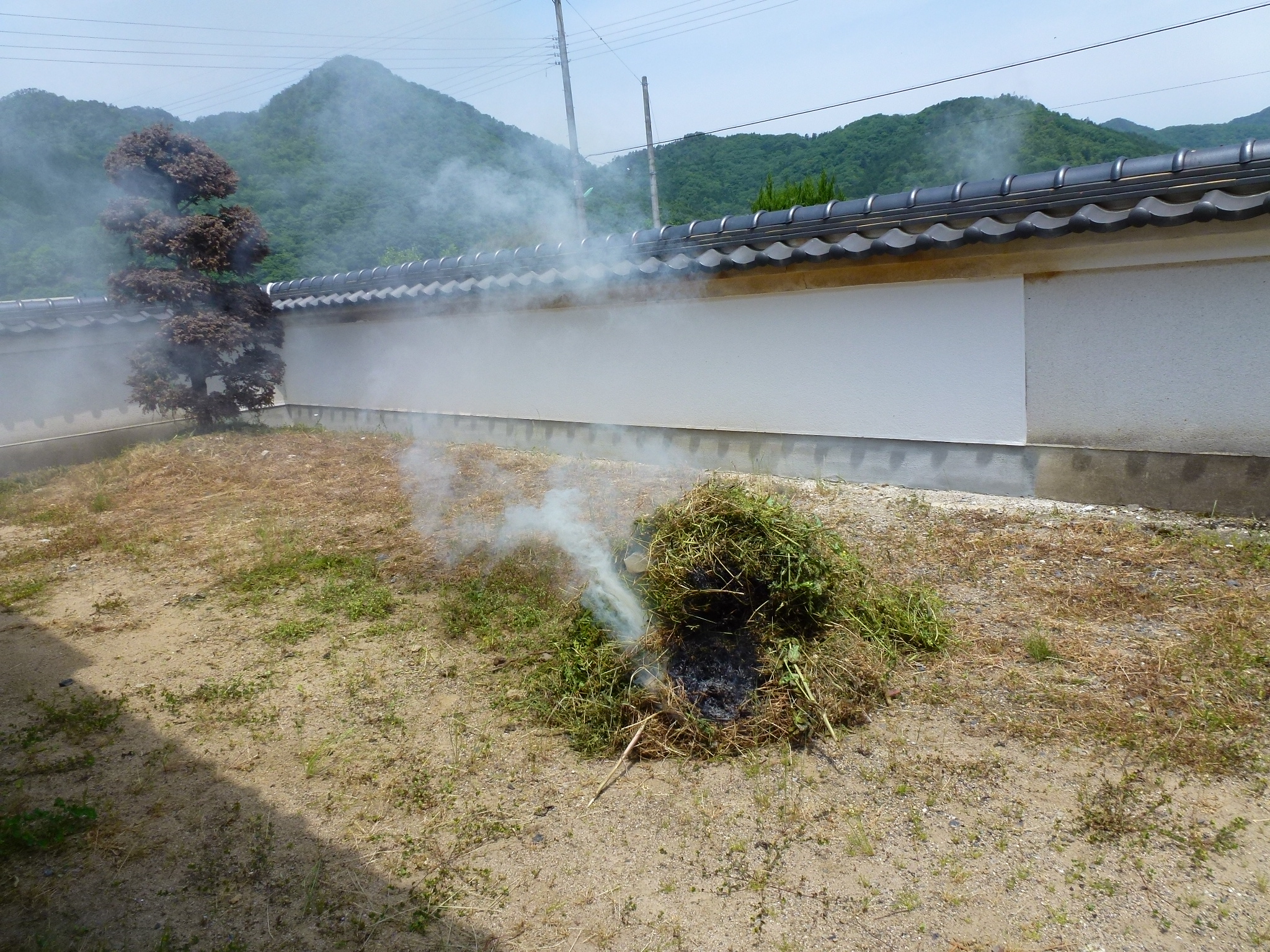 P1050161.JPG