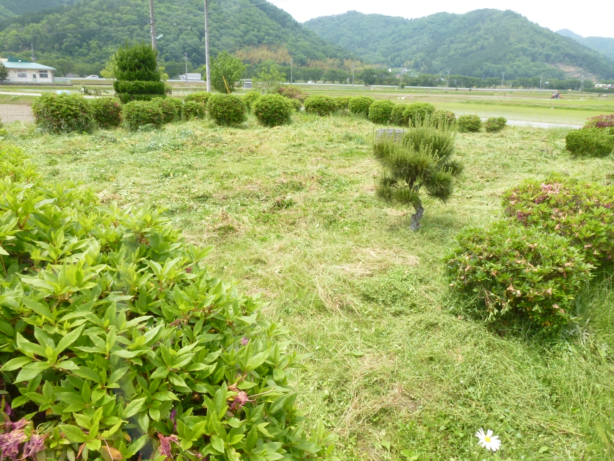 P1050163.JPG