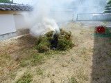 img0002.jpg