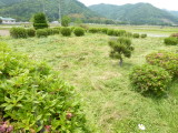 img0003.jpg