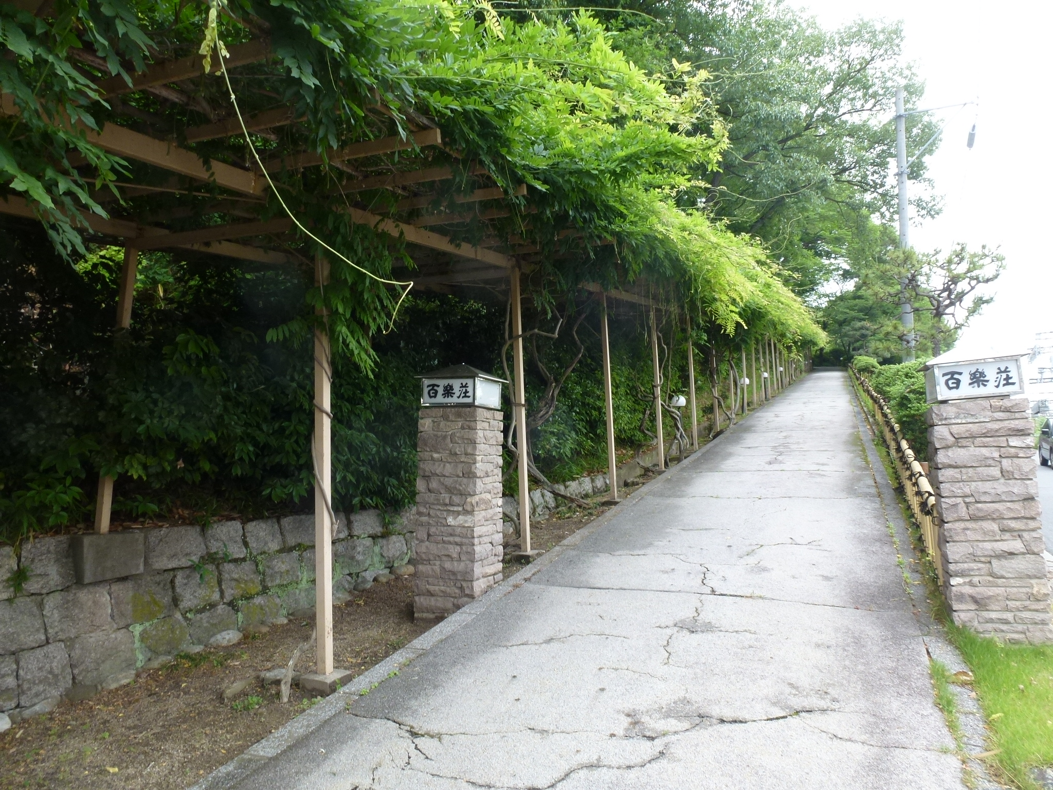 P1050344.JPG
