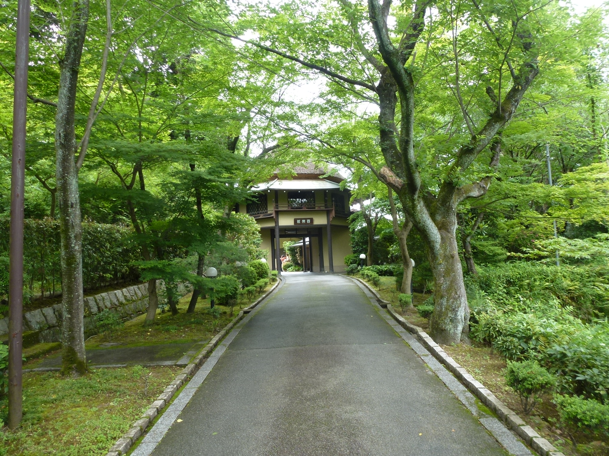 P1050345.JPG