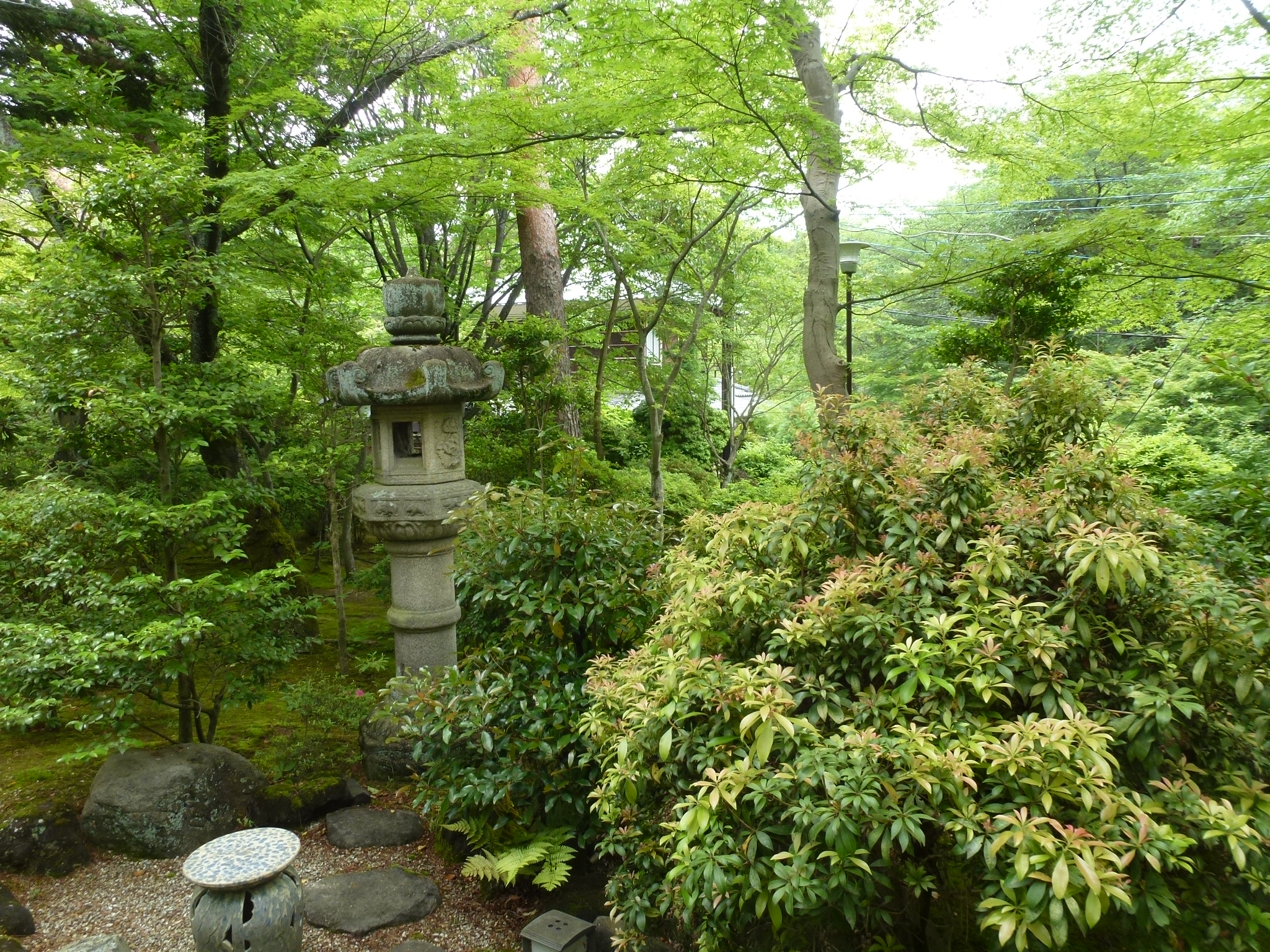 P1050347.JPG