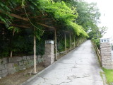 img0001.jpg
