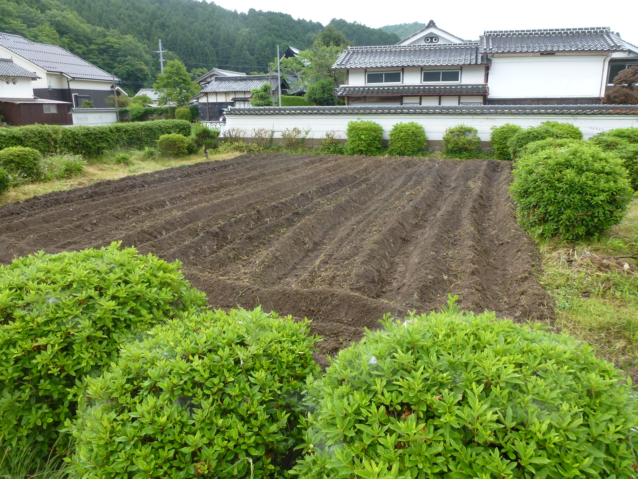P1050434.JPG