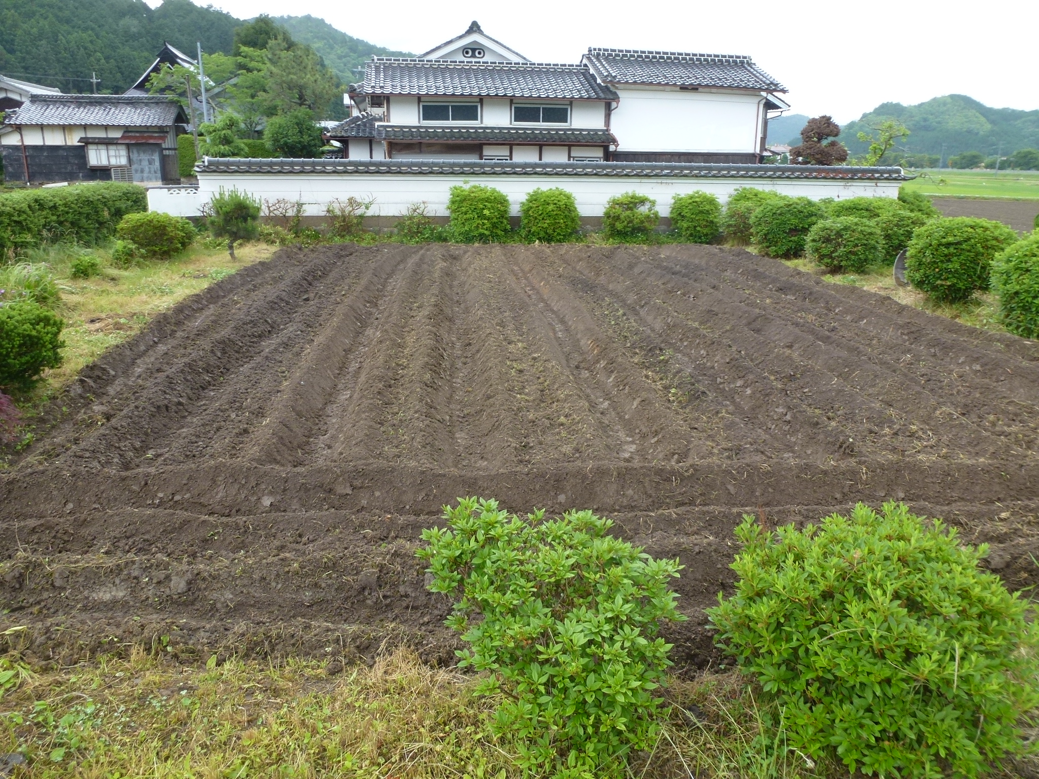 P1050435.JPG