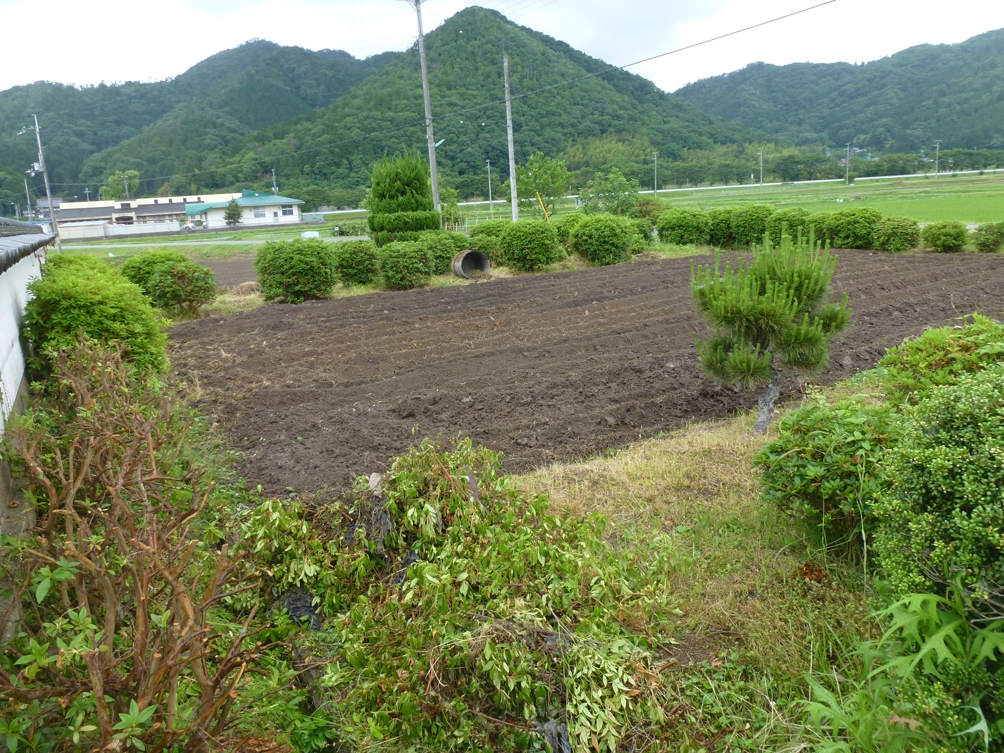 P1050436.JPG