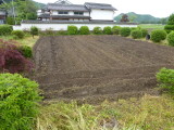 img0006.jpg