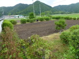 img0009.jpg