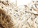 img0004.jpg