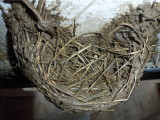 img0006.jpg