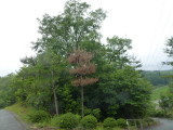 img0001.jpg