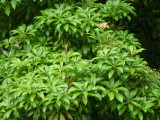 img0002.jpg