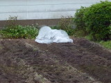 img0000.jpg