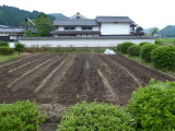 img0003.jpg