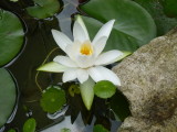 img0001.jpg