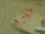 img0004.jpg
