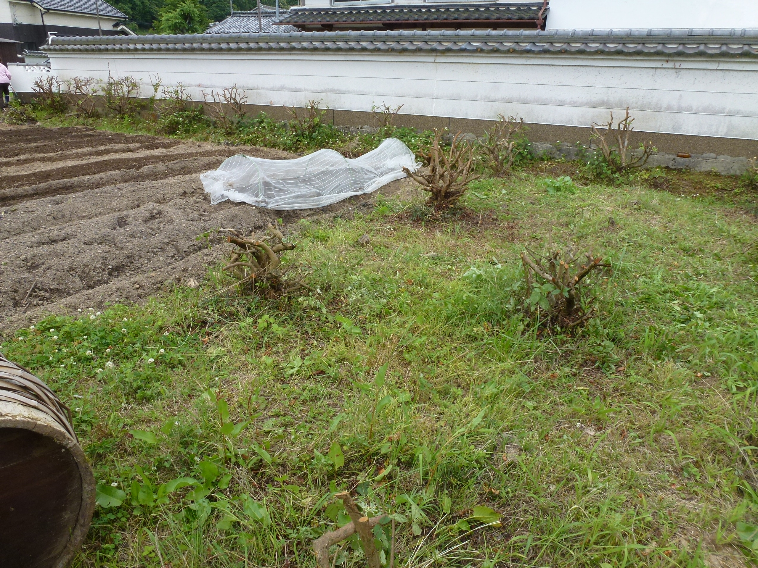 P1050564.JPG