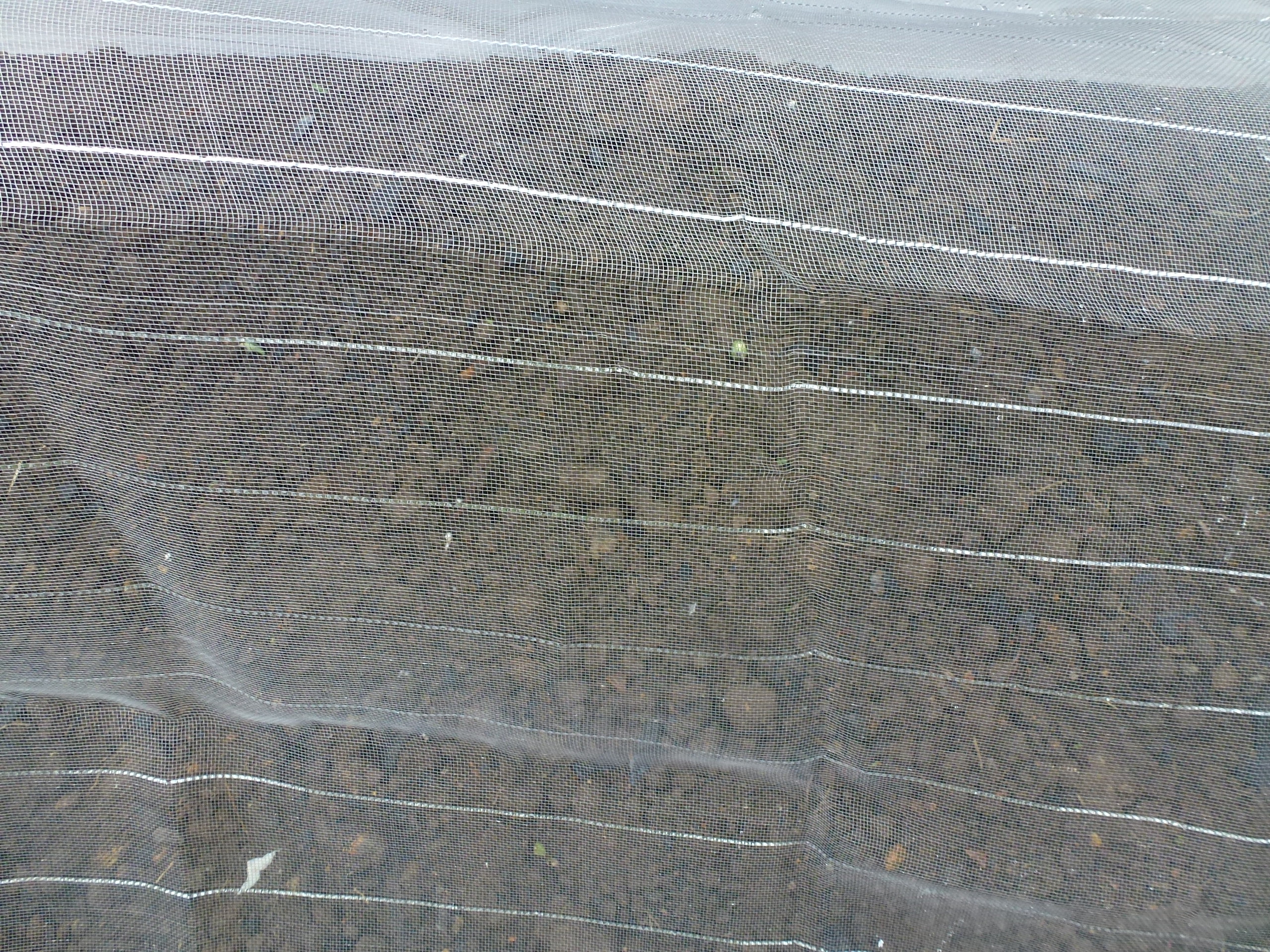 P1050566.JPG