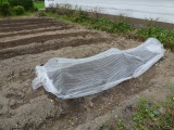 img0005.jpg