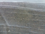 img0006.jpg