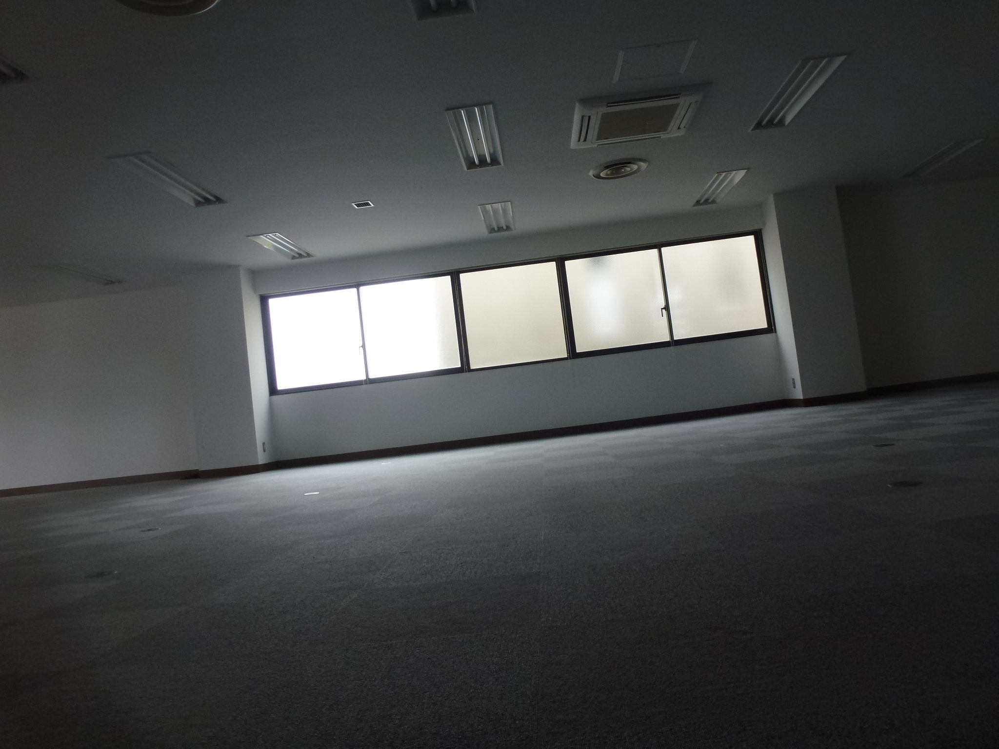 P1050636.JPG