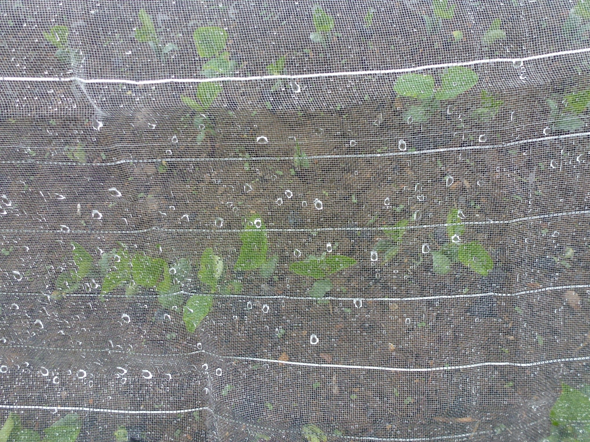 P1050644.JPG