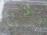 img0020.jpg