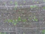 img0021.jpg
