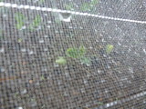 img0023.jpg