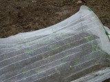 img0027.jpg