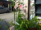 img0002.jpg