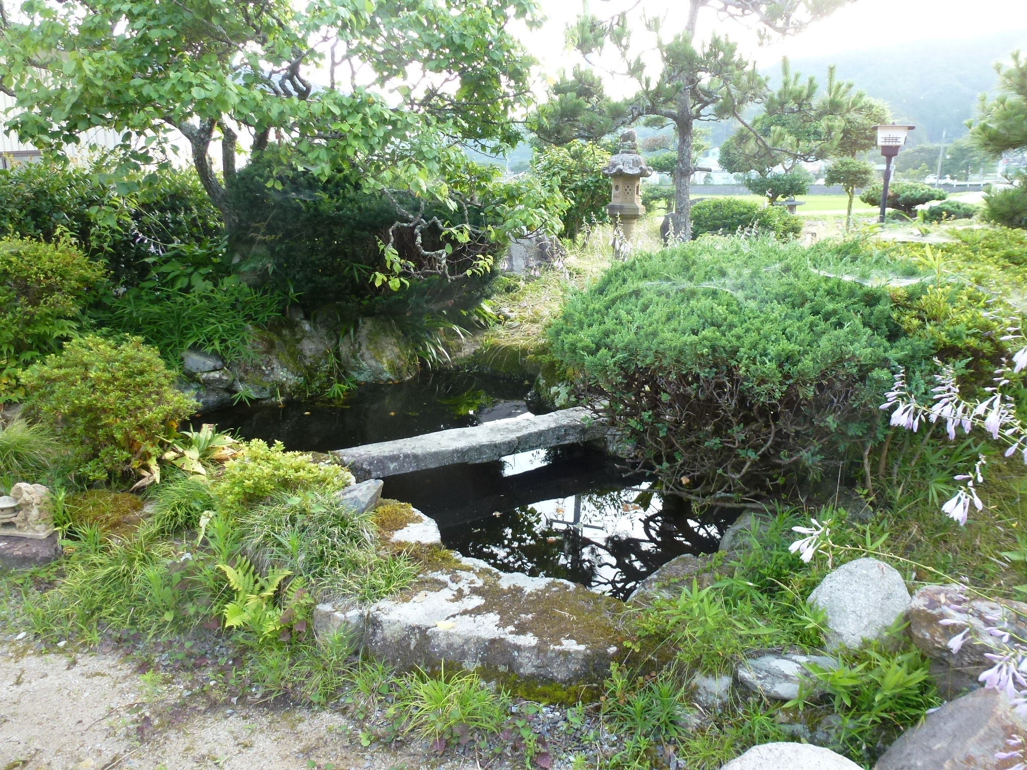 P1050677.JPG