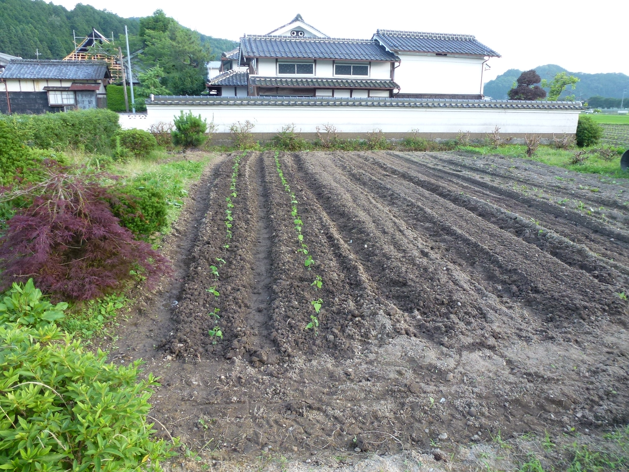 P1050678.JPG