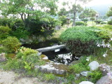 img0007.jpg