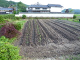 img0008.jpg