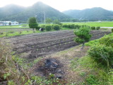 img0013.jpg